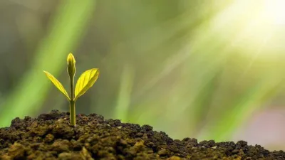 تاريخ الاقتصاد الأموي في الأندلس