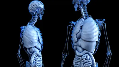 تطبيق Anatomy 3D