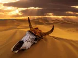 Earth's Chemistry 'Wobbled' Before the 5 Biggest Mass Extinctions
