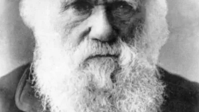العالم سبيرمان