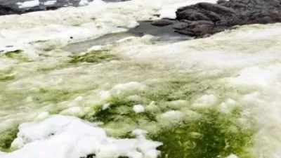 يعنى إيه النظم البيئية فى القطب الجنوبى وليه السفن بتهدد وجودها؟ اعرف التفاصيل