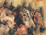 أحداث معركة مؤته