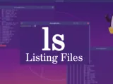 كيفية استخدام الأمر ls في Linux