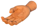 ويلدر بنفيلد