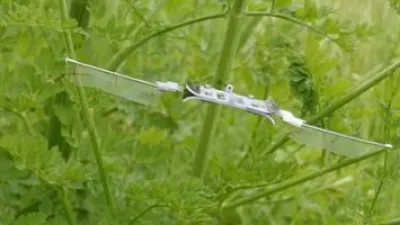 روبوت بحجم حشرة يمكنه الطيران بسرعة 1.6 ميل فى الساعة بعضلات كهربائية