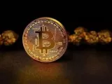 تعدين بيتكوين يصبح أقل ربحية بسبب تغيير الخوارزميات .. اعرف التفاصيل