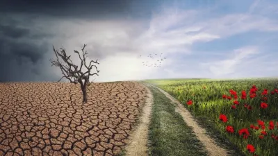النظام البيئي