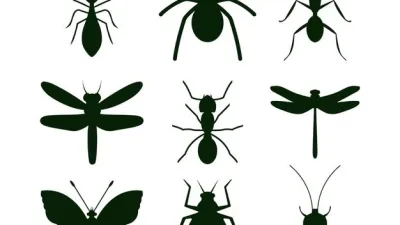 روبوتات صغيرة تشبه الحشرات