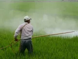 استخدامات الهاليدات العضوية