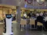 سلسلة مطاعم صينية تستخدم روبوتات لتقديم الطعام.. اعرف التفاصيل