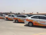 بدء العمل بصورة تدريجية في مدارس تعليم القيادة
