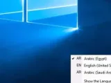 إظهار شريط اللغة