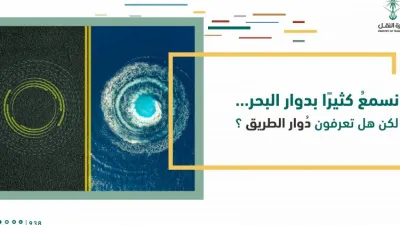 كيف تتعامل مع أغراض دوار الطريق ؟