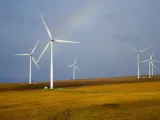 أشهر المعلومات التي يجب معرفتها حول توربينات الرياح