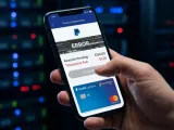 PayPal Credit Card Glitch Drains Rewards with Undisclosed Fees