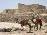 تاريخ العرب في أمريكا اللاتينية