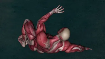 تطبيق Muscle System Pro