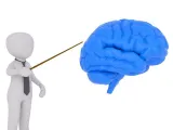 تطبيق 3D Brain