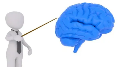 تطبيق 3D Brain