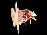 تطبيق InvisibleEar