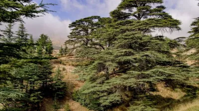 ما هي الوصاية السورية على لبنان؟