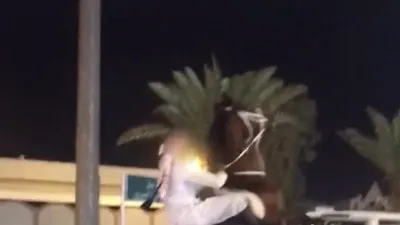 ضبط سيارات وملاك خيول للتجمهر ومخالفات المرور في السعودية