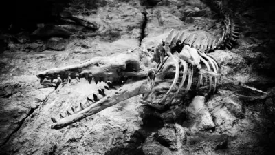 أهمية علم التتابع الحفري في الجيولجيا