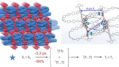 Solar Energy Breakthrough: Carbon Nanohoops Unlock Long-Range Singlet Fission