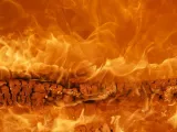 ماذا يحدث عندما يحترق الوقود الأحفوري؟
