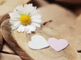رينيه ديكارت