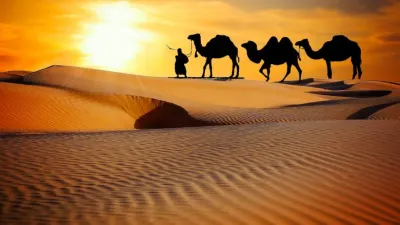 بعد فتح مكة