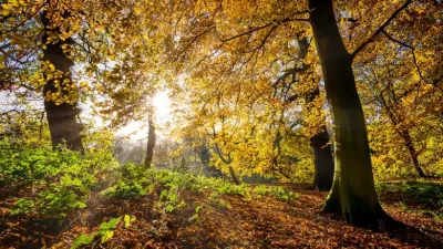 الإشعاع والإضاءة – Radiance and Luminance