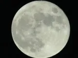 روسيا تصمم أجهزة دعم الحياة فى القاعدة القمرية