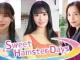 Sweet Hamster Days Review: A Live-Action Visual Novel That Trades Agency for FMV Ambition