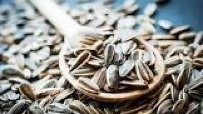 كيفية دراسة جدوى مشروع محمصة لب مربحة