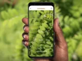 Woolaroo AI تطبيق من جوجل لحماية اللغات المهددة بالانقراض