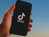 الجمهور المشترك في التيك توك