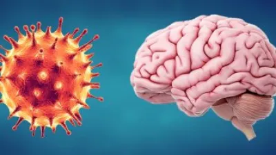 علماء موسكو يبتكرون منظومة ملاحة بصرية تساعد الجراحين فى إجراء عمليات على الدماغ