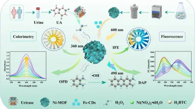 مسبار النانوزيم Ni-MOF@Fe-CDs يكشف عن حمض اليوريك بدقة 0.072 ميكرومولار