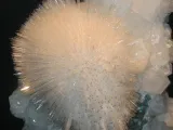 الفصل المعدني