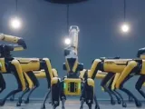 شركة Starship Technologie توسع نطاقها فى توزيع روبوتات المطاعم