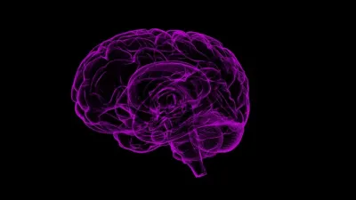 تطبيق Brain and Nervous System Pro