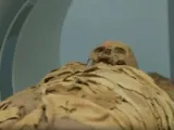 قمل الرأس فى المومياوات يكشف أسرارا غير متوقعة