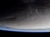 روسيا ترسل بذور النبات إلى الفضاء.. اعرف السبب
