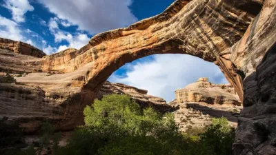 الجيولوجيا القديمة وعصر سيادة اللافقاريات