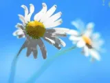 إزالة كلمة المرور لويندوز 8