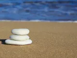 ما هي أهمية التأثيرات العضوية على الصخور الرسوبية؟