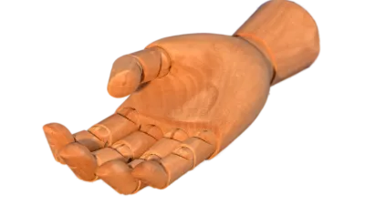 ويلدر بنفيلد