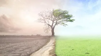 تقرير: تغير المناخ مضر بإنتاج المحاصيل ومنها الذرة.. اعرف التفاصيل