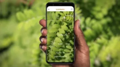 Woolaroo AI تطبيق من جوجل لحماية اللغات المهددة بالانقراض